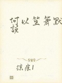 何以笙箫默 小说