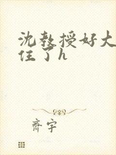 沈教授好大含不住了h