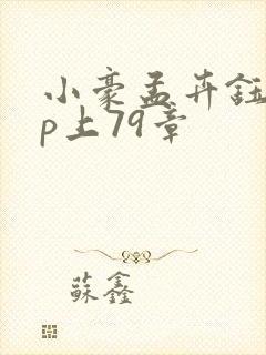 小豪孟卉钰慧三p上79章