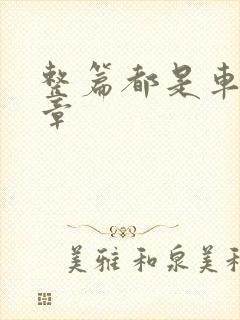 整篇都是车的文章