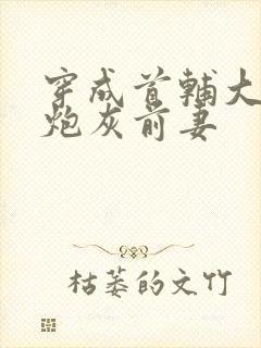 穿成首辅大人的炮灰前妻