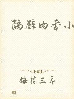 隔壁肉香小说