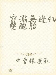 宠溺无边4V2双胞胎