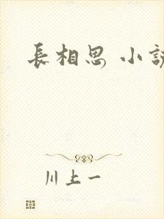 长相思 小说