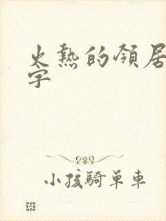 火热的领居中文字