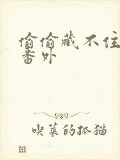 偷偷藏不住新婚番外