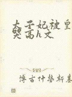 太子妃被皇上c哭高h文