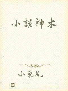 小说神木