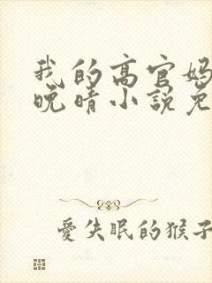 我的高官妈妈苏晚晴小说免费阅读