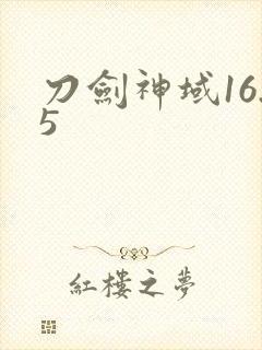 刀剑神域16.5