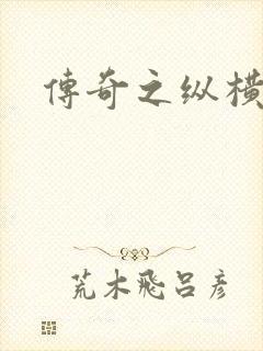 传奇之纵横玛法