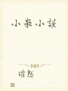 小米小说