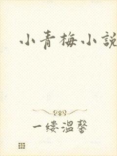 小青梅小说
