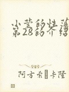 小莹的性荡生活第28的介绍