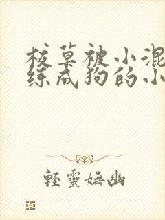 校草被小混混训练成狗的小说