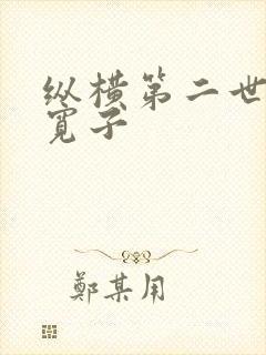 纵横第二世界 宽子