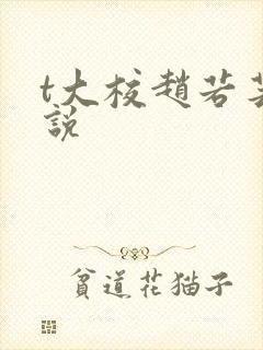 t大校赵若芸小说