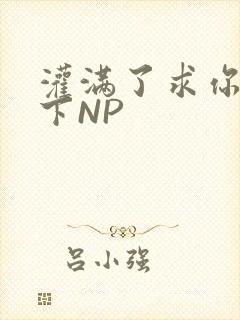 灌满了求你们停下NP