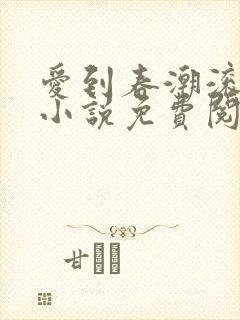 爱到春潮滚滚来小说免费阅读