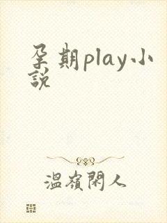 孕期play小说