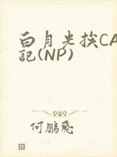 白月光挨CAO记(NP)