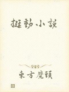 挺动小说