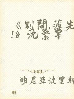 《别闹,薄先生!》沈繁星