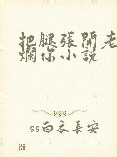 把腿张开老子臊烂你小说