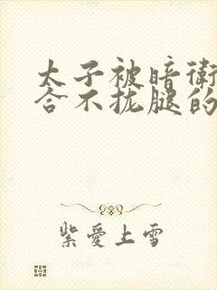 太子被暗卫c到合不拢腿的后果