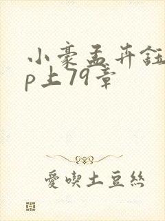 小豪孟卉钰慧三p上79章