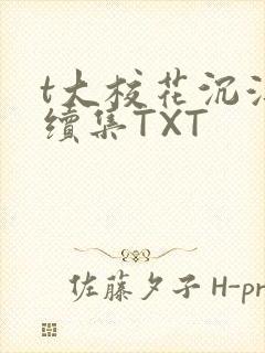 t大校花沉浮录续集TXT