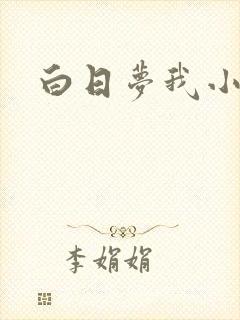 白日梦我小说