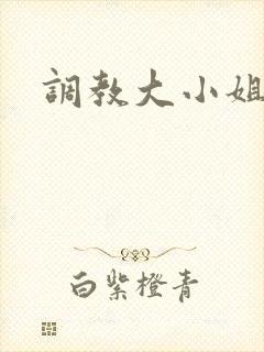 调教大小姐