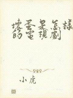 坏蛋是怎样炼成的电视剧