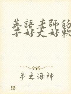 英语老师的小兔子好大好软水