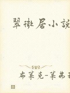 翠微居小说