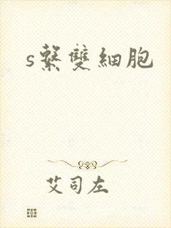 s系双细胞