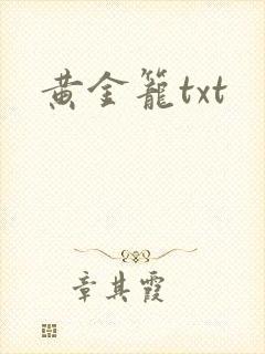 黄金笼txt