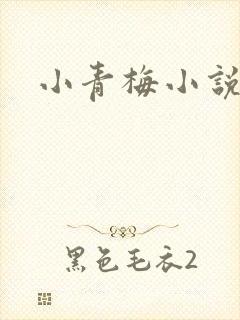小青梅小说