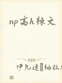 np高h辣文
