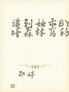 追到她乖BY黑暗森林写的小说