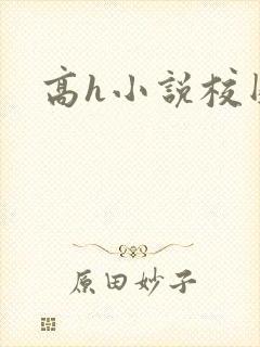 高h小说校园