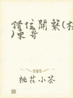 错位关系(校园)东哥