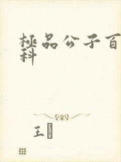 极品公子百度百科
