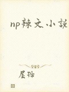 np辣文小说