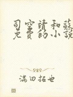 司空靖和苏月汐免费的小说笔趣阁