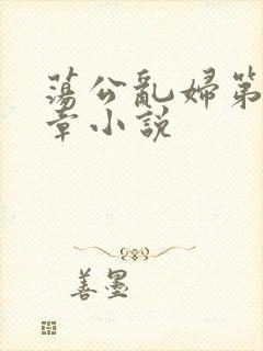 荡公乱妇第51章小说