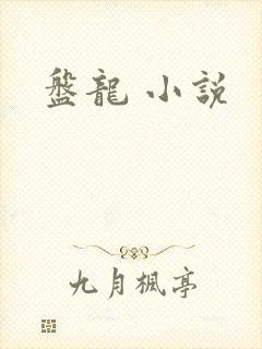 盘龙 小说