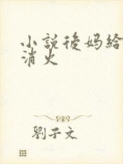 小说后妈给我消消火