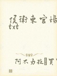 侯卫东官场笔记txt